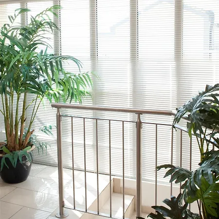 Western Grand Victor Hugo