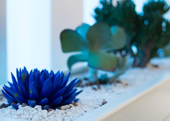 호텔 베스트 웨스턴 플러스 그랜드 빅토르 휴고 4*