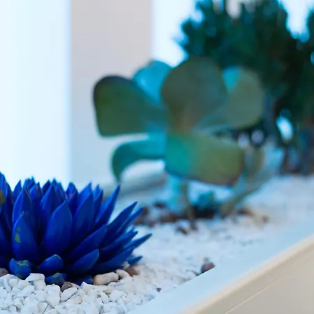 호텔 베스트 웨스턴 플러스 그랜드 빅토르 휴고 4*